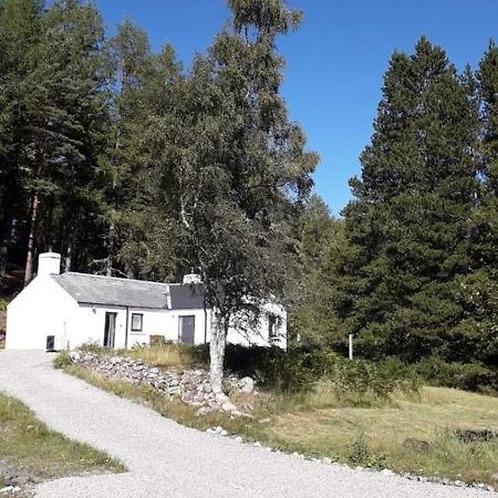 Torgoyle Cottage Inverness Exterior foto